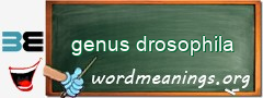 WordMeaning blackboard for genus drosophila
